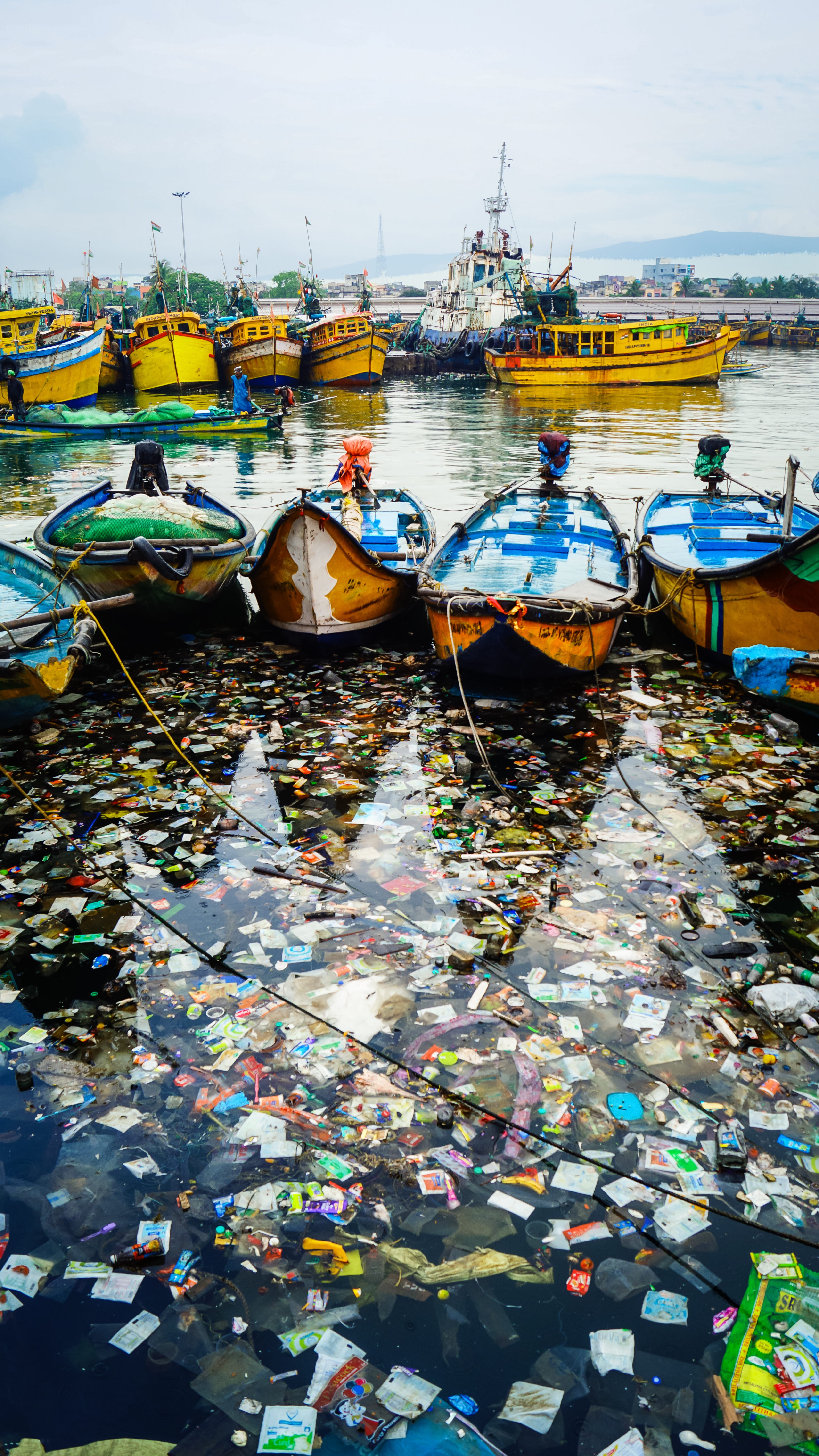Plastik im Meer erklärt Kinder